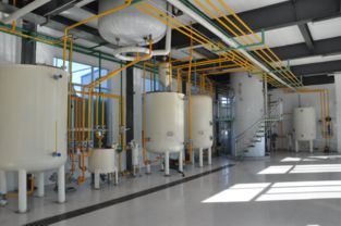 胥加寬 身殘志堅勇創業，食用油香飄助殘路